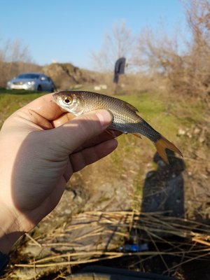 20180409_073023.jpg