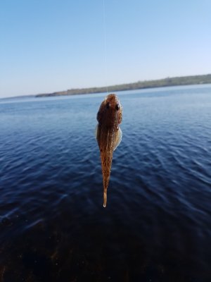 20180409_085253.jpg