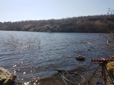 20180409_111619.jpg