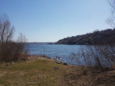 20180409_113712.jpg