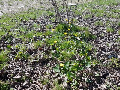 20180409_114118.jpg