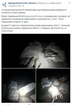 05-04-Harkiv.JPG