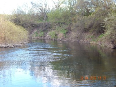 DSCN6961_thumb.jpg