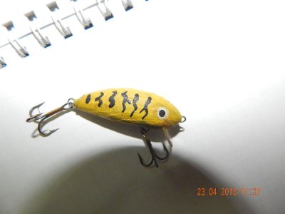 DSCN6963_thumb.jpg