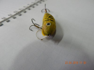 DSCN6964_thumb.jpg