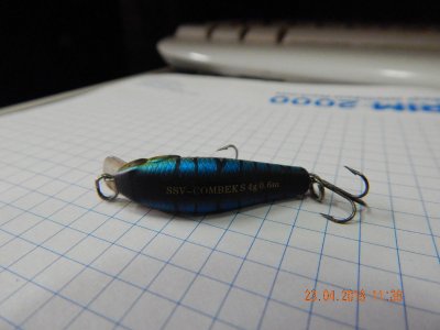DSCN6965_thumb.jpg