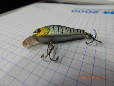DSCN6966_thumb.jpg