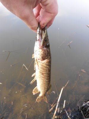 DSCN4397.JPG