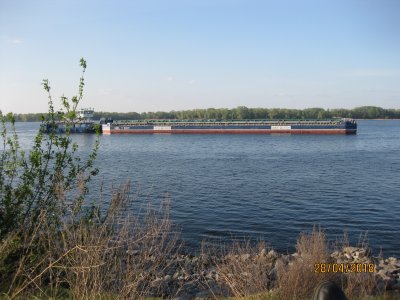 IMG_0719.JPG