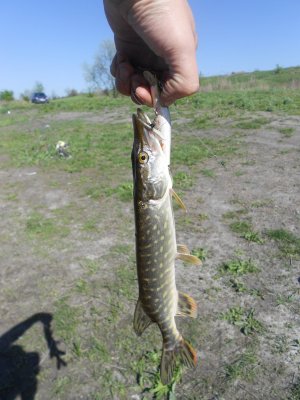 DSCN4405.JPG