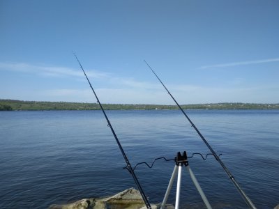IMG_20180503_112351.jpg