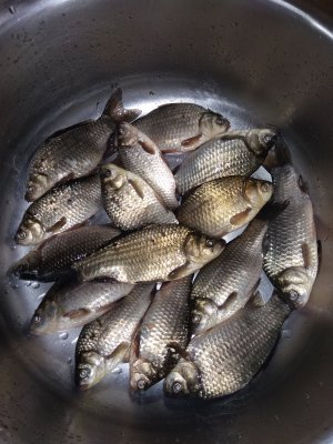 IMG_20180506_110719.jpg