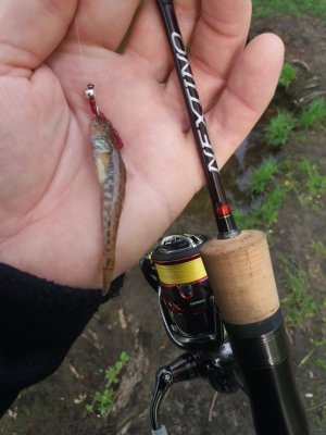 20180506_074230.jpg