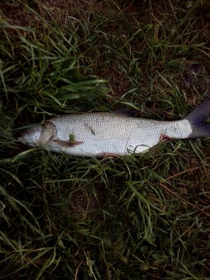 IMG_20180507_062440.jpg