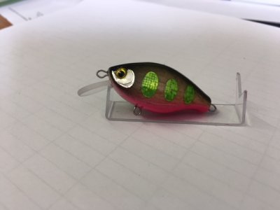 IMG_0950.JPG