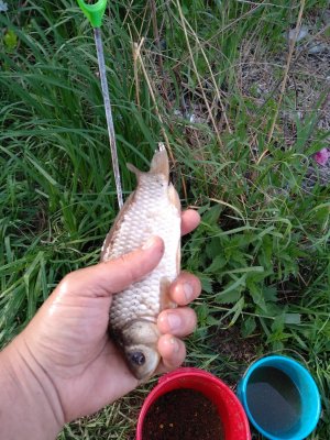 IMG_20180507_163700.jpg