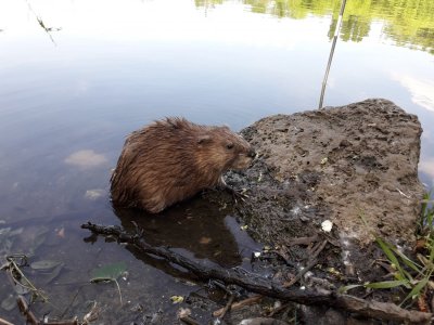 20180514_105110[1].jpg