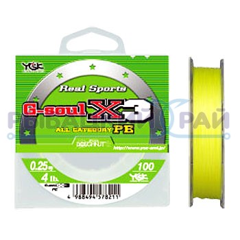 ygk_soul-x3_3_1.jpg