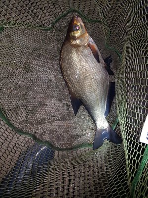 20180519_015159.jpg