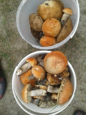 IMG-2810e9accfdb1c7a331d174cfabd55bc-V.jpg