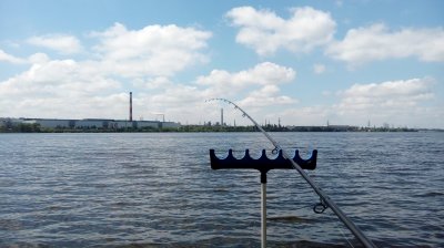 IMG_20180521_120236.jpg