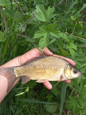 IMG_20180525_101957.jpg