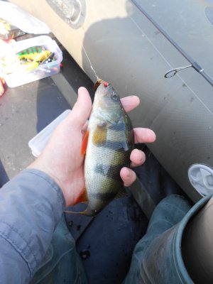 DSCN4424.JPG
