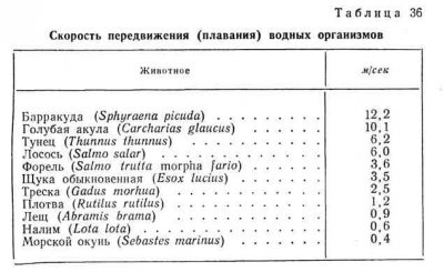 119.jpg