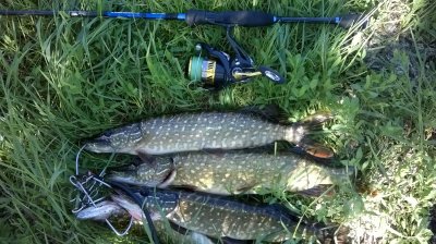 WP_20180527_007.jpg