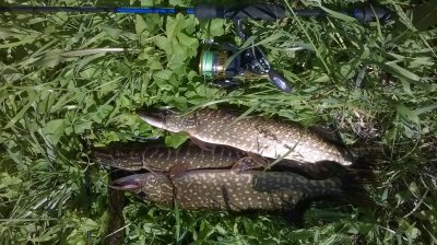 WP_20180527_005.jpg