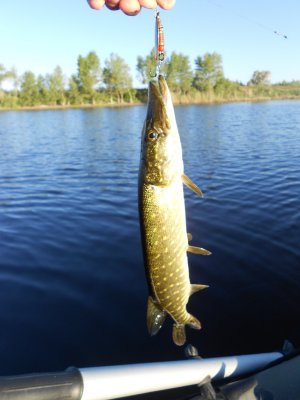 DSCN4429.JPG