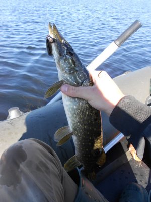 DSCN4436.JPG
