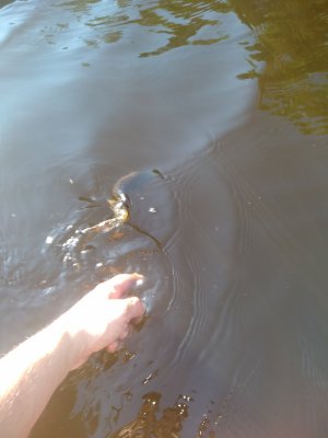 IMG_20180525_074642.jpg