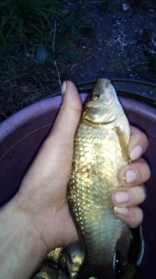 IMG_20180531_202817.jpg