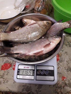 20180601_205617[1].jpg