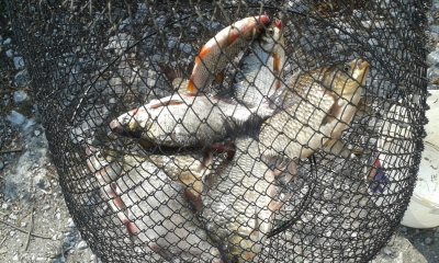 20180603_154541.jpg