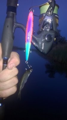WP_20180603_002.jpg