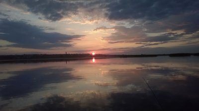 WP_20180604_001.jpg