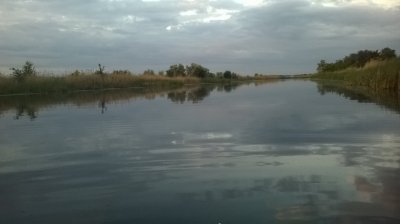 WP_20180604_003.jpg