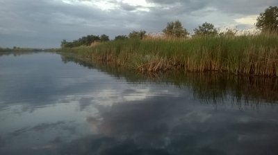 WP_20180604_004.jpg