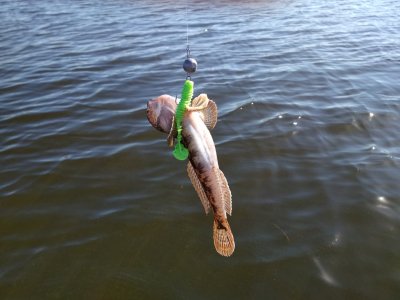 IMG_20180621_081609.jpg