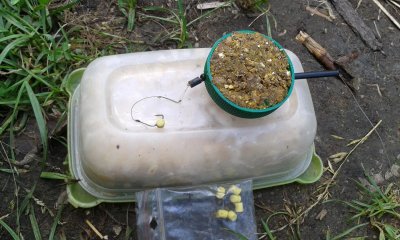 20180614_131709.jpg