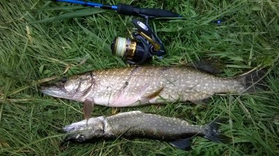 WP_20180701_002.jpg