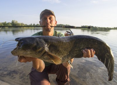 CatFish[1].JPG