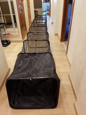 20180708_163242.jpg