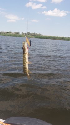 20180707_121112.jpg