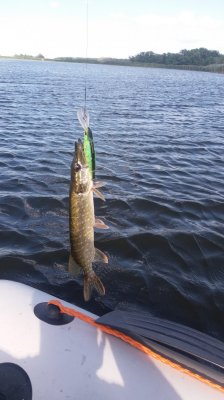 20180707_171428.jpg
