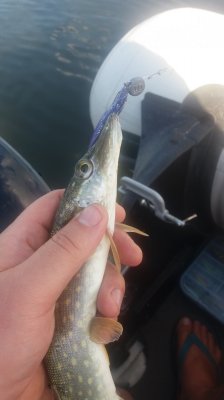 20180707_175609.jpg