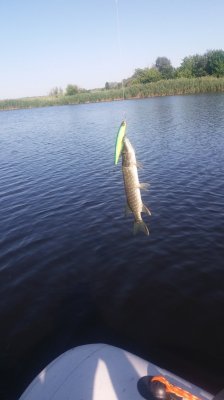 20180708_082017.jpg