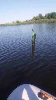 20180708_082021.jpg